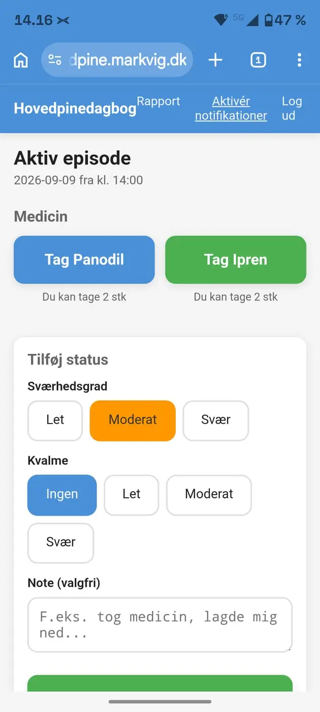 Hovedpinedagbog
